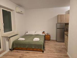 Kuchyň nebo kuchyňský kout v ubytování AON Apartament