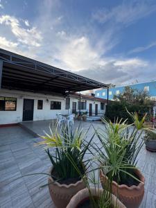 a patio with potted plants in front of a building at The FLORENTHINA'S House in Oaxaca City