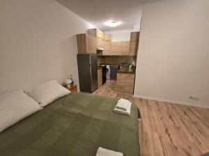 Kuchyň nebo kuchyňský kout v ubytování AON Apartament + 13 fotografií
