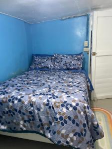 a blue bedroom with a bed with a blue wall at Otra habitación margarita in Mano Juan