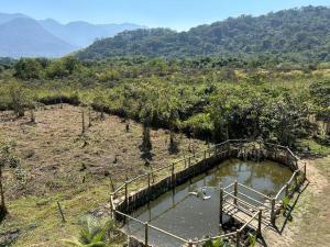 a pool of water in a field with trees at Pousada Camping dos Ypês in Guapimirim