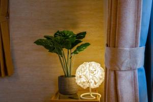a plant in a vase on a table with a lamp at Villa MILA MOTOBU in Motobu