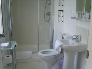 a bathroom with a toilet and a sink and a shower at The Elbow Room in Kirkcaldy