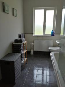 a bathroom with a sink and a toilet and a window at Ballyhoura Country Kildorrery, beautiful 5 bed in Kildorrery