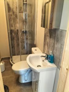 a bathroom with a toilet and a sink and a shower at Ballyhoura Country Retreat 1 Bedroom Apartment in Kildorrery
