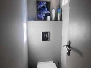 ein Badezimmer mit einem WC und einem Regal mit blauen Blumen in der Unterkunft Maison spacieuse avec parking et balcon à Cauterets - FR-1-812-21 in Cauterets + 10 Fotos