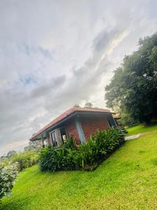 Zahrada ubytování Foresta Resort Sigiriya