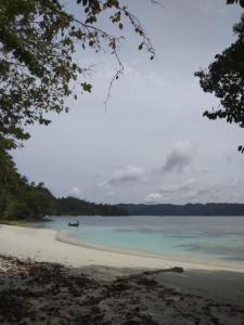 a view of a beach with a boat in the water at Aldy homestay in Yennanas Besir