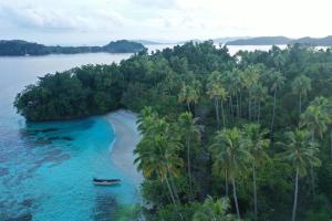 an aerial view of a beach with palm trees and a boat at Aldy homestay in Yennanas Besir