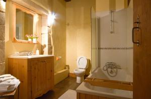 サン・テティエンヌ・ド・バイゴリにあるChambres d'Hôtes Jauregiaのバスルーム(バスタブ、トイレ、シンク付)