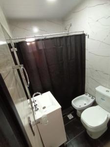ein Badezimmer mit Toilette, Waschbecken und Dusche in der Unterkunft Estrella del Faro in Mar del Plata + 8 Fotos