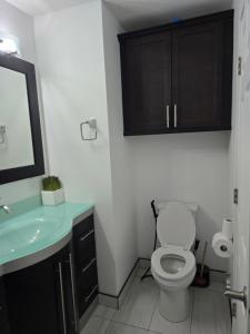 a bathroom with a toilet and a sink and a mirror at Full House - Main Floor in Regina