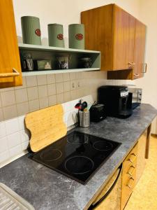 a kitchen counter with a stove top in a kitchen at moderne Ferienwohnung am Stadtwald von Plauen in Plauen