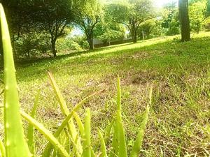 Billede fra billedgalleriet på Thihawa Yala i Tissamaharama