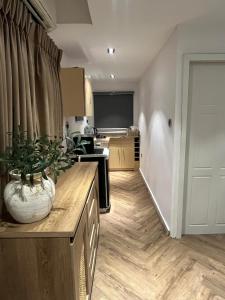 a kitchen with a plant in a vase on a counter at Elysia by Joja in Lagos