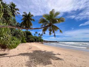 una spiaggia sabbiosa con palme e l'oceano di Abraham Beach House a Tangalle
