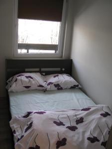 łóżko w sypialni z oknem w obiekcie Apartament Zakopane w Zakopanem