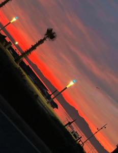 a sunset with a palm tree and street lights at Slt hola bonjour marchica in Nador