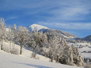 a snow covered hill with trees and a mountain at Residence Rastbichl - Apartments & Indoor-Pool in Maranza