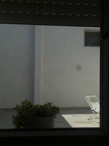 Gambar di galeri bagi Salento casa vacanze vicino Castro Otranto di San Cassiano