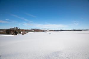 un champ recouvert de neige avec un bleu dans l'établissement Starry Sky Cottage 16, à Bihoro