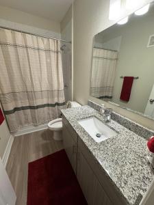 a bathroom with a sink and a toilet and a mirror at Stylish 1BHK, 1 Bath in Cedar Park, Austin, TX in Cedar Park