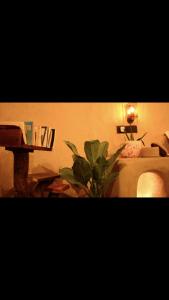 a room with a bed and a table with a plant at HeavensAway in Marayoor