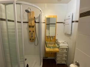 baño con ducha con guitarra en la pared en La lumière du lac, duplex avec vue lac, parking, en Veyrier-du-Lac