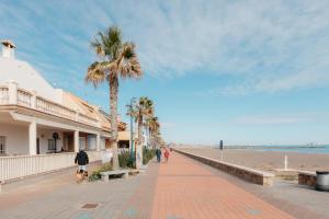una palmera en una acera junto a la playa en Terrasses - Beach apartment with swimming pool, en Puzol