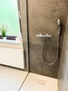 une douche avec pommeau de douche dans une salle de bain dans l'établissement Haus 15-20P - 8Zi - Aurora Hamburg, à Hambourg