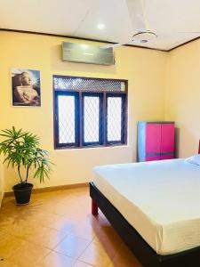 a bedroom with a bed and a potted plant at Gee Hills in Weligama