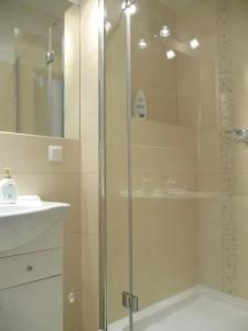 Ένα μπάνιο στο Apartament Haffnera