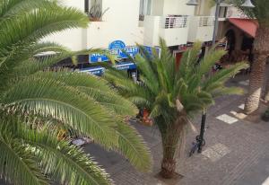 Fotografie z fotogalerie ubytování Los Cristianos Beach property v destinaci Los Cristianos