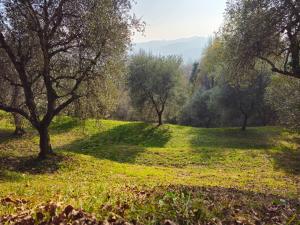 Φυσικό τοπίο κοντά σε αυτό το bed & breakfast +26 φωτογραφίες