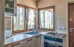 Una cocina con fregadero y dos ventanas. en 2 Bedroom Lovely Home In Borsk, en Borsk