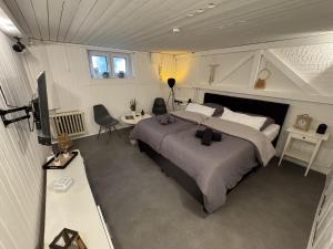 a bedroom with a large bed and a tv in it at Kellerwohnung inklusive Sauna in Recklinghausen