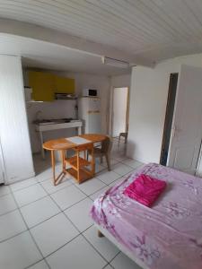Kuchyň nebo kuchyňský kout v ubytování Studio confortable à Les Abymes, 12m², balcon agréable