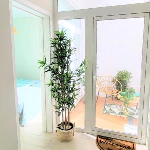a plant in a pot next to a sliding glass door at The Shore at Seaside Paradise - Cozy Patio on the Promenade in Espinho