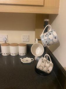 Esviken 2 in heart of Kirkwall的咖啡和沏茶工具