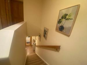 奥克尼Esviken 2 in heart of Kirkwall的相册照片