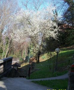 Zahrada ubytování B&B I Ghiri