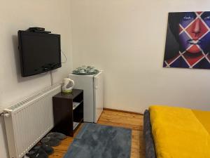 TV a/nebo společenská místnost v ubytování The Only One Suites