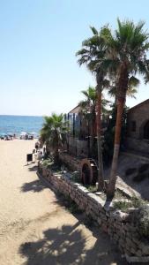 una hilera de palmeras en una playa de arena en Chambre villa Soleil, en Roquebrune-sur-Argens