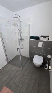 a bathroom with a shower and a toilet in it at Business und Relax Apartement Bilm in Sehnde