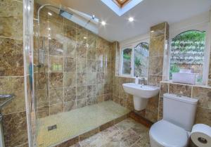 a bathroom with a shower and a toilet and a sink at Tan Y Graig in Abersoch +39 photos