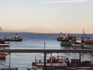 a group of boats docked in a body of water at Great sea view, two room private suite in Kalk Bay in Kalk Bay