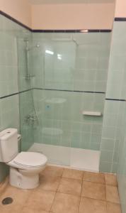 Koupelna v ubytování Apartamentos Jardín del Conde