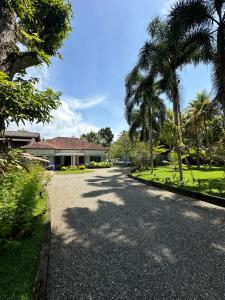 Zahrada ubytování Mango Tree Villa