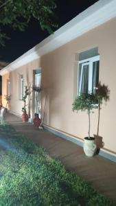 Giardino di Dominicus I