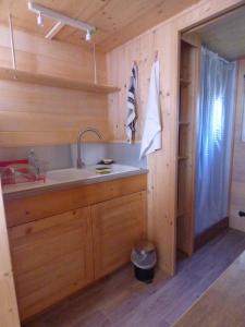 a kitchen with wooden walls and a sink and a counter at Tiny House lumineuse et ressourçant in Le Brusquet